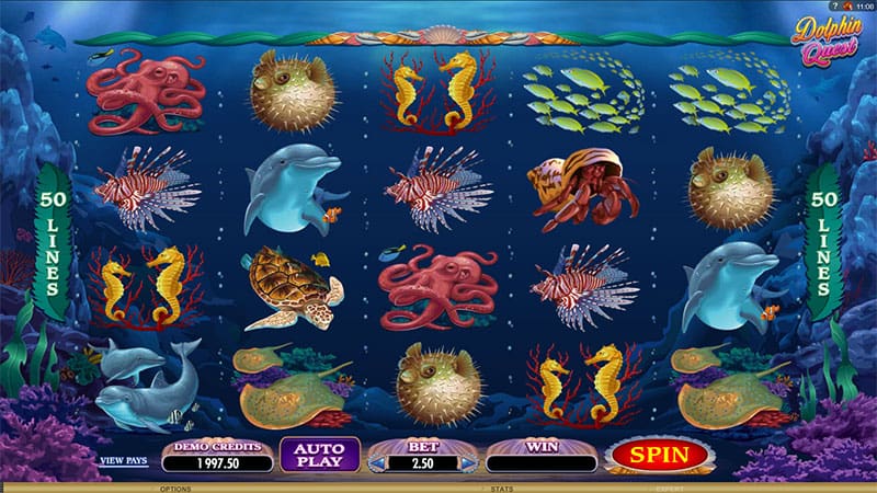 dolphin quest slot game